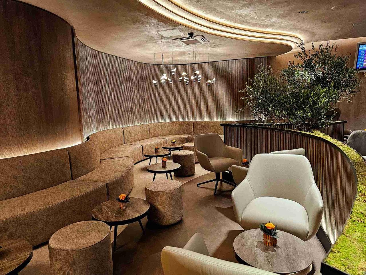 Scanderbeg VIP Lounge lounge at TIA photo 2